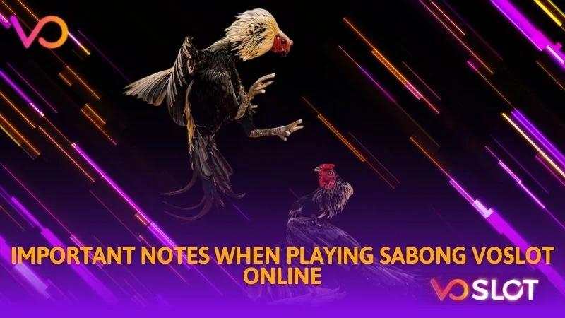 Important notes when playing Sabong Voslot online