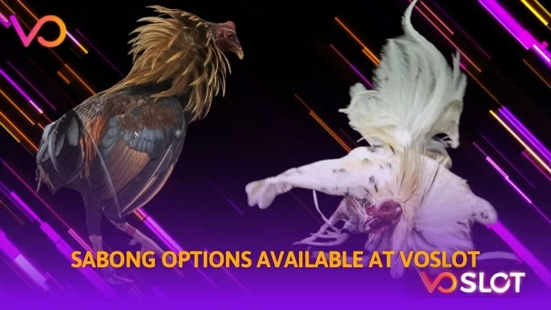 Sabong options available at Voslot